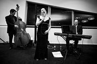 The Libby Hammer Trio performing in the Perth Convention Centre Ballroom lobby in 2009